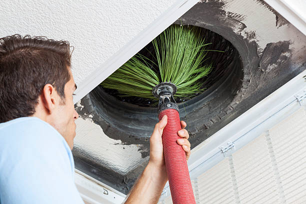 Best Dryer Vent Cleaning Services  in Detroit Beach, MI